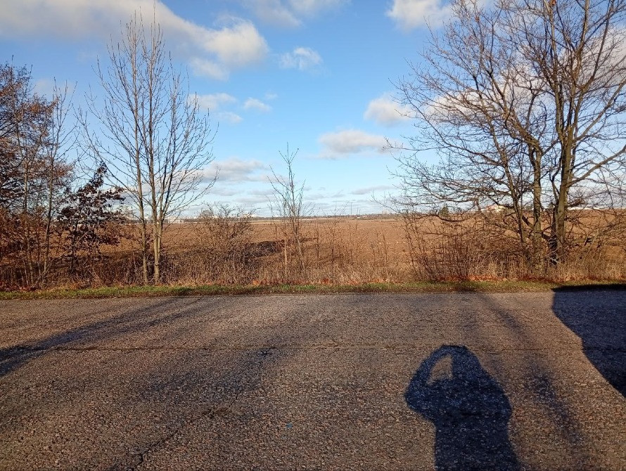 Княжичі. Продам фасадну ділянку 84сот Бровары - изображение 2