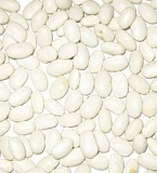 Куплю фасоль на переработку. Белые сорта фасоли Полтава