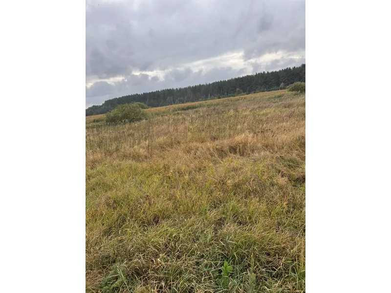 продажа земля сельскохозяйственного назначения Вышгородский, Литвиновка, 341828 грн.  - изображение 7