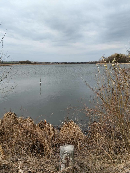 Продається земельна ділянка біля водойми та лісу Біла Церква - зображення 3