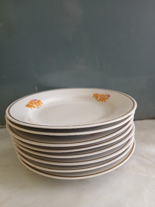 плоскі тарілки Тернопіль - зображення 2