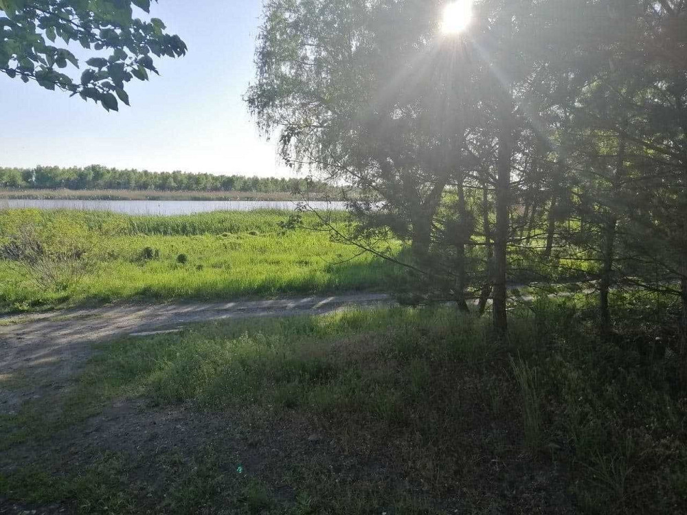 Продам. Дом 4-к Березановка, ул.Белградская. Днепр - изображение 5