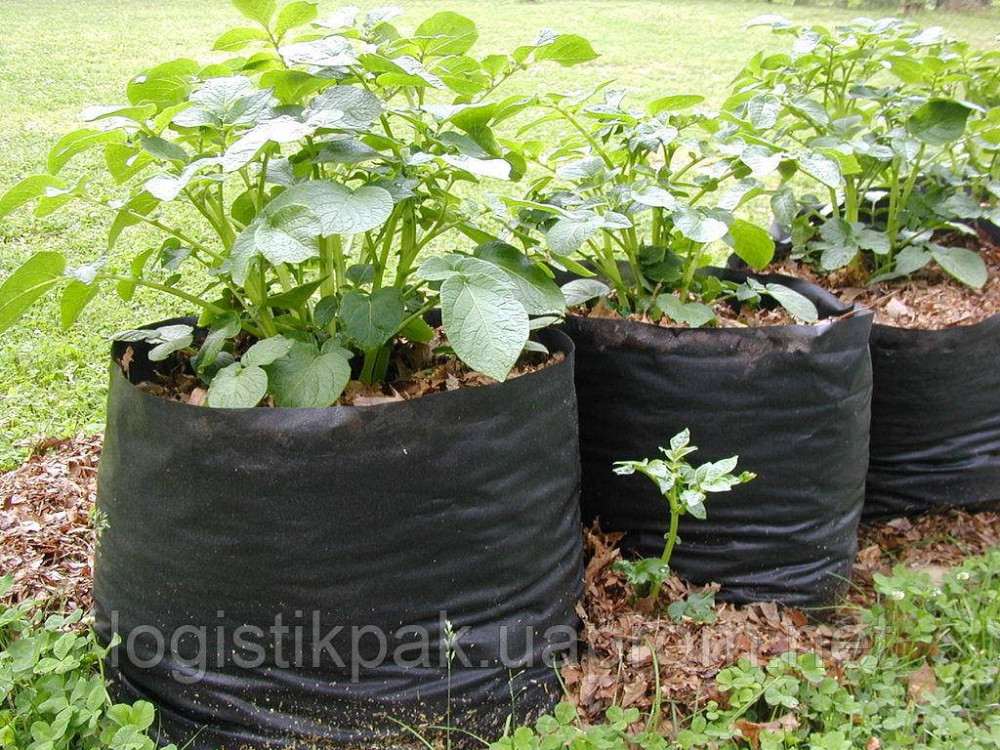 Пакет для рассады 50х500 метров 40 мкм (черный) рукав для виращивания рассады Харків - зображення 6