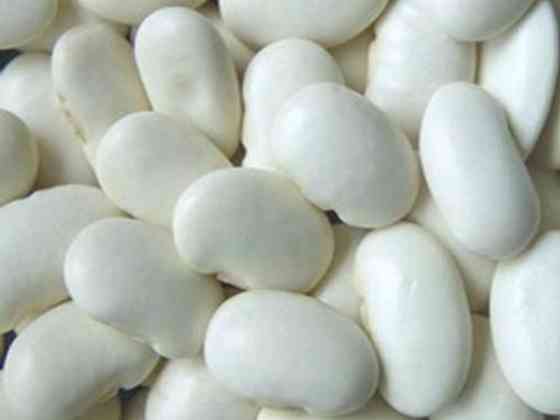 Сортова квасоля оптом від українського постачальника Ровно