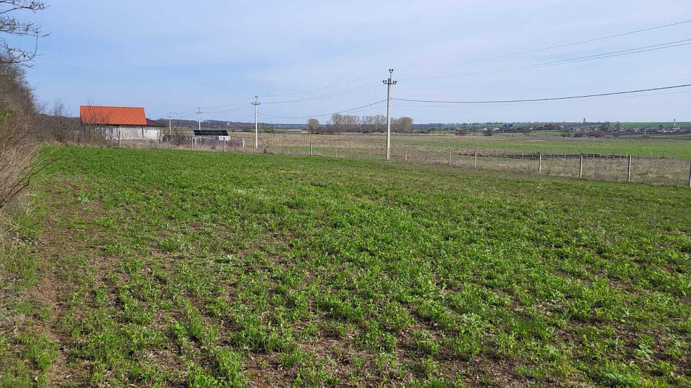 продажа участок под жилую застройку Овидиопольский, Дальник, 5500 $  - изображение 6