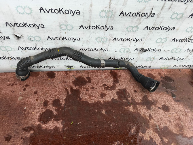 Патрубок интеркулера Renault Kangoo 1.5 dci 2013-2021 (144609191R) Ковель - зображення 1