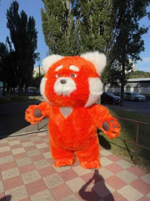 Ведмідь костюм Київ - зображення 4