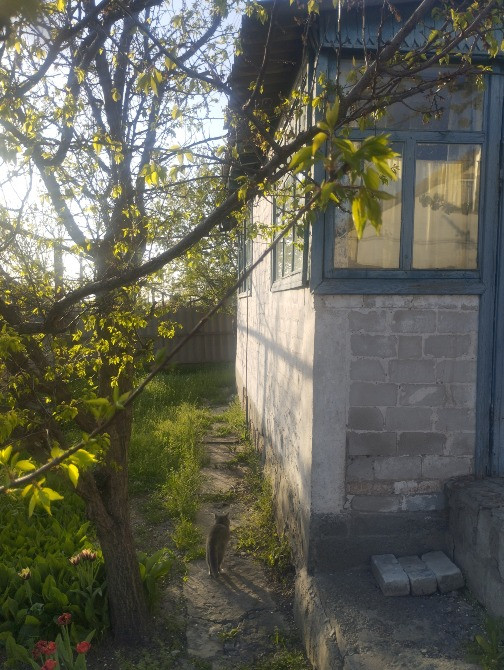 Продам дом в Баловке Днепр - изображение 4