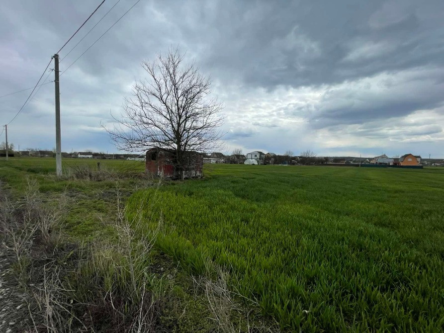 Продаж земельної ділянки в с. Томилівка (Білоцерківський район, Київська область) Пропонується до пр Біла Церква - зображення 4