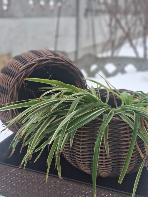 Кашпо з ротангу Киев - изображение 6