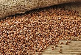 Гречка на посів. Прямі поставки насіння Хмельницкий - изображение 1