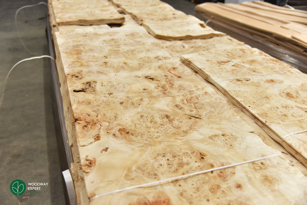 Шпон ТОПОЛЬ очковий товщина: 0,7 мм / Кап (*карельська береза) Киев - изображение 3