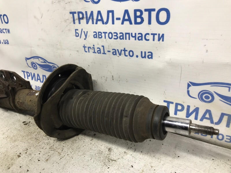 Амортизатор передний правый Chevrolet Captiva C140 2.2 ДИЗЕЛЬ 2006 (б/у) Київ - зображення 2