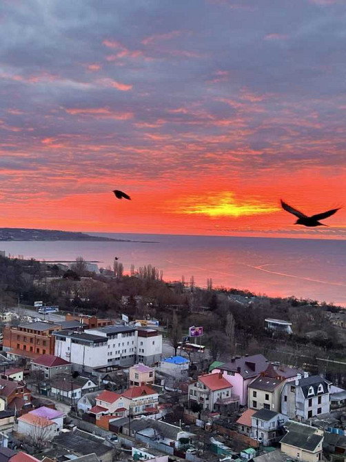 долгосрочная аренда 1-к квартира Одесса, Пересыпский, 8700 грн./мес. Одесса - изображение 4