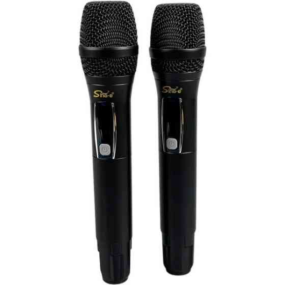 DM Мікрофон Sing-e ZQS-2M503 2шт Gray Харьков