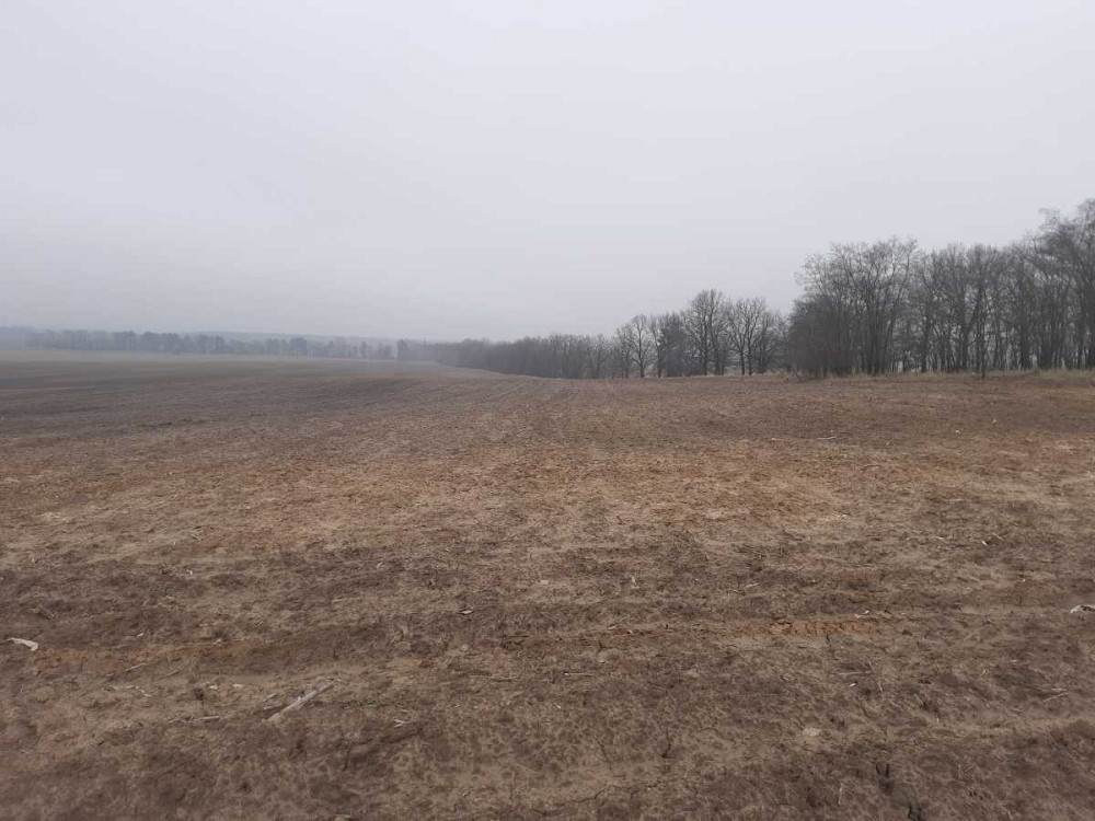 продажа земля сельскохозяйственного назначения Бориспольский, Вороньков, 221503 грн.  - зображення 3