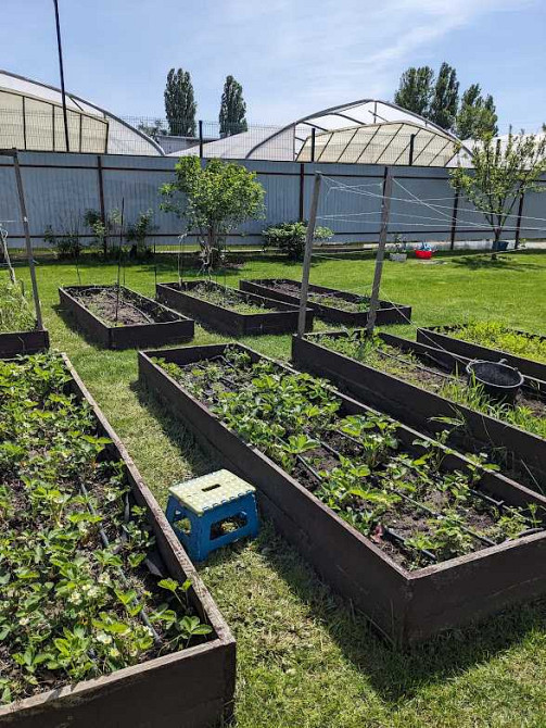 продажа 5-к дом Бориспольский, Малая Александровка, 250000 $  - изображение 2