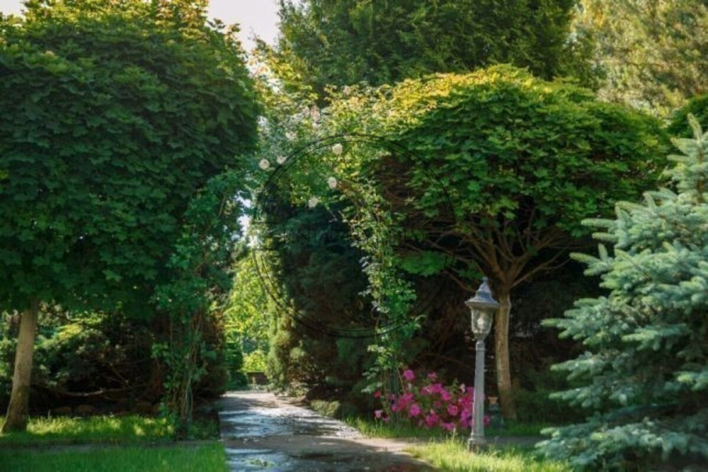 Шикарный дом в КГ Золотые Ворота .Конча-Заспа с выходом на Козинку .Код № 138051 Київ - зображення 7