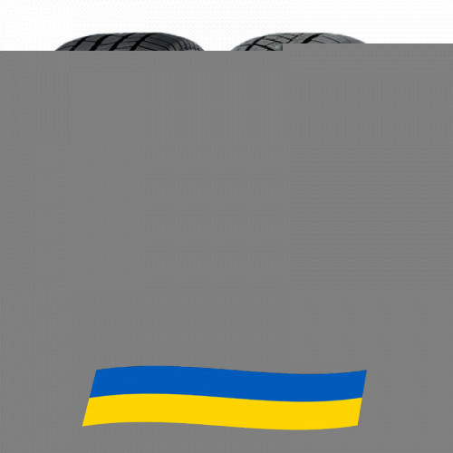 245/40 R19 Continental ContiWinterContact TS 830P 98V Легкова шина Київ - зображення 1