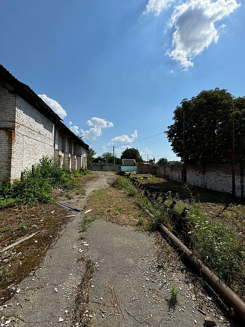Продам складской комплекс пос.Илларионово, Синелиниковский рн. Дніпро - зображення 3