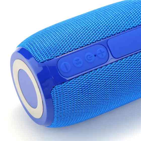 Колонка портативная Bluetooth T&G TG653 blue синяя Київ