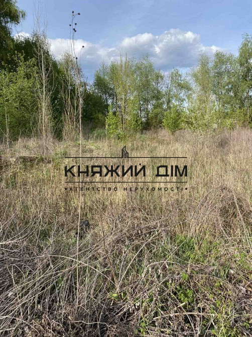 Земельна ділянка 10 соток в Бортничах № 264764 Киев - изображение 8