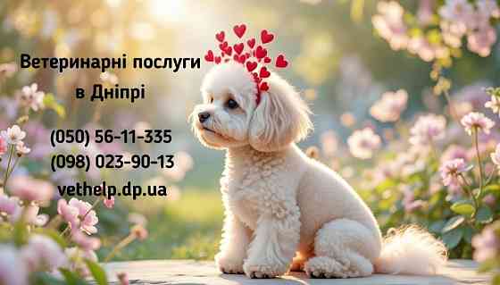 Стерилізація на дому Дніпро Дніпро