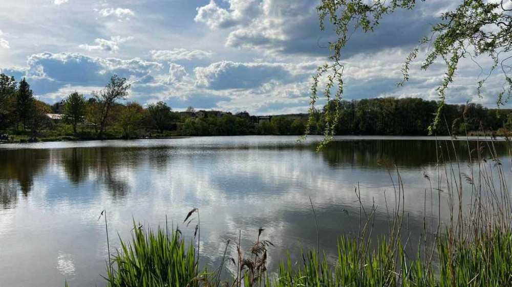 продажа участок под жилую застройку Киево-Святошинский, Хотов, 350000 $  - зображення 7