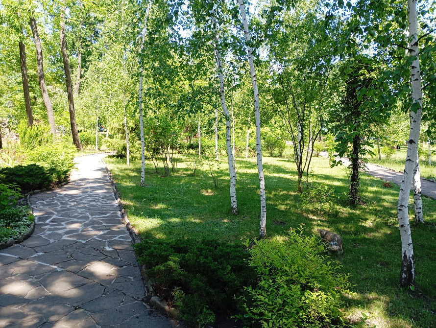 Оренда (подобово) Будиночок сімейного затишку на 2 спальних місця Кривий Ріг - зображення 11