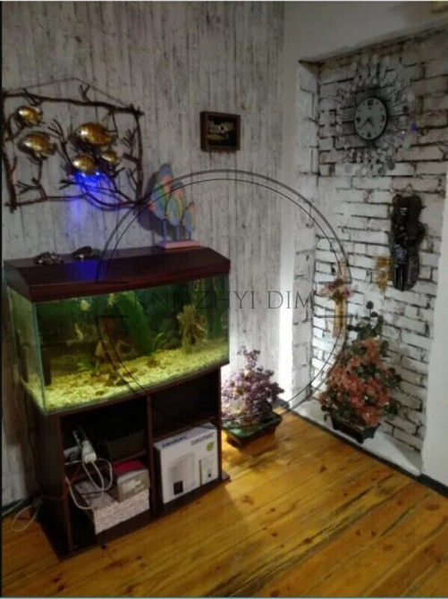 Дом 500 м2 в селе возле Новобогдановки водоем с каскадом № 229827 Киев - изображение 11