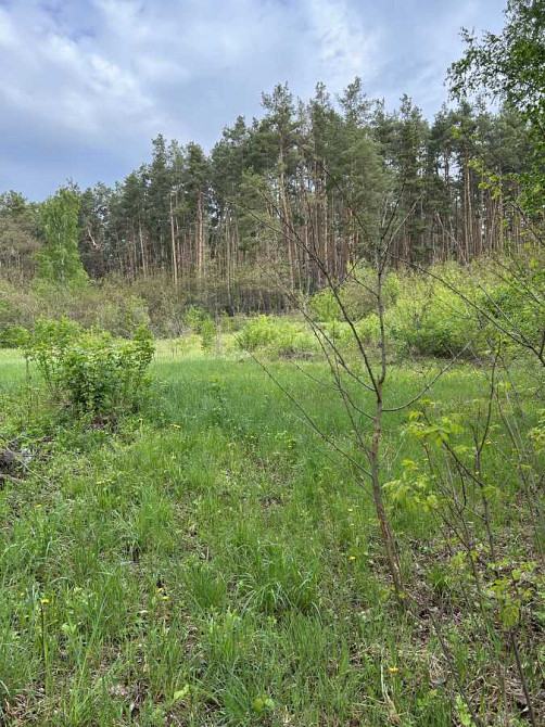 продажа участок под жилую застройку Васильковский, Васильков, 15000 $ Васильков - изображение 3