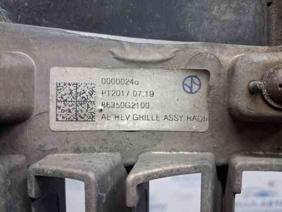 Решетка радиатора Hyundai Ioniq 2016- 86350G2100 (Арт. 80624) Київ