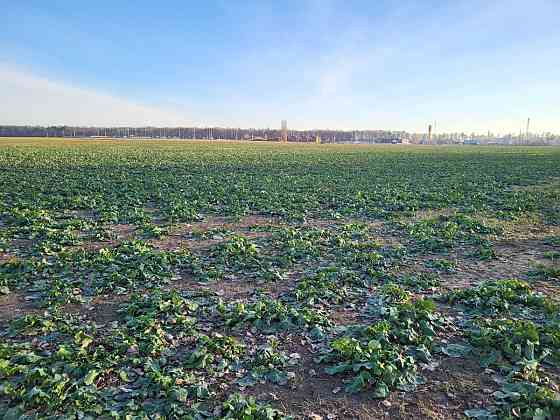 продажа земля сельскохозяйственного назначения Васильковский, Кожуховка, 2071000 грн. 