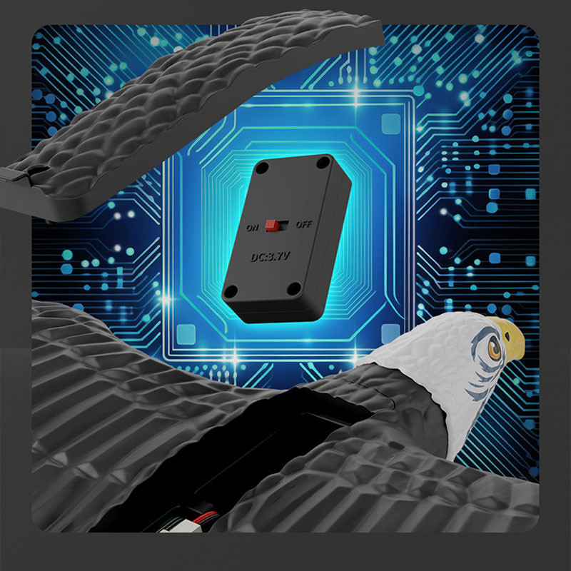 Самолет-птица на радиоуправлении SCHE HW40 Eagle Херсон - зображення 4