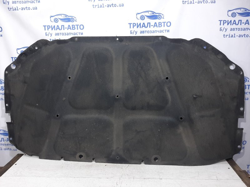 Обшивка капота SsangYong Kyron DJ 2.0 DIESEL D20DT 2005 (б/у) Київ - зображення 4