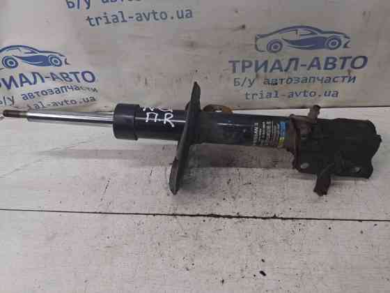 Амортизатор передний правый Nissan Qashqai 2006-2013 E4302BR04A (Арт. 82595) Киев