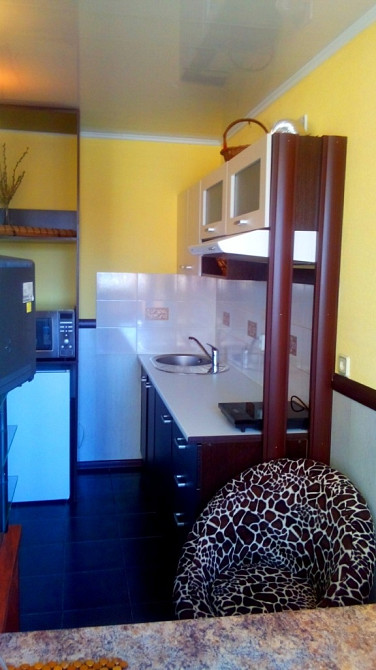 Хозяин: Центр, Печерск, М. Дружбы Народов: современная, видовая. Без комиссии. Киев - изображение 11