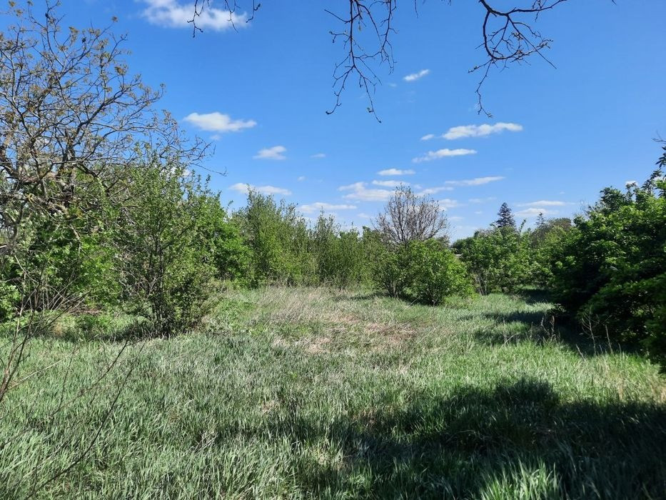 Продам 1/2 будинку с.Рогозів Бориспіль - зображення 3