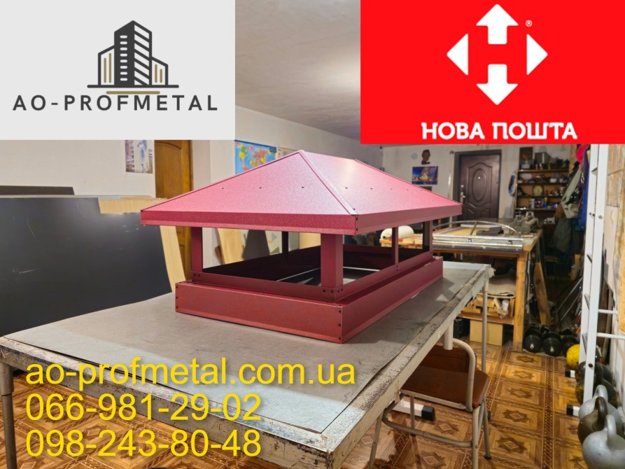 Грибок на димохід RAL 3005 РЕМА стигла вишня. Київ - зображення 4