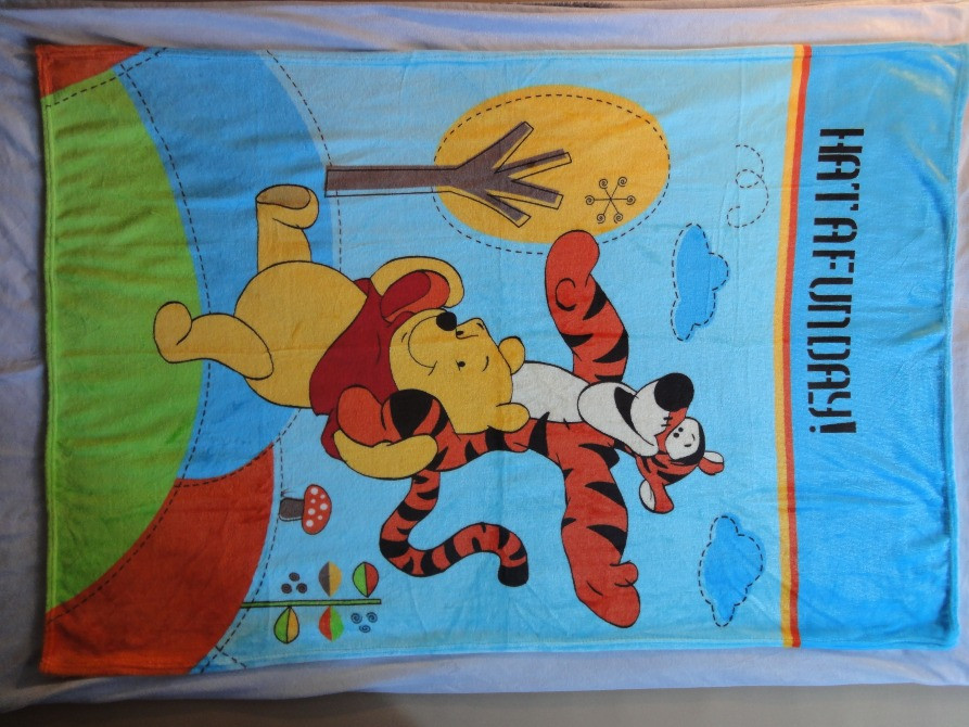 Ковдрочка-плед дитячий Київ - зображення 5