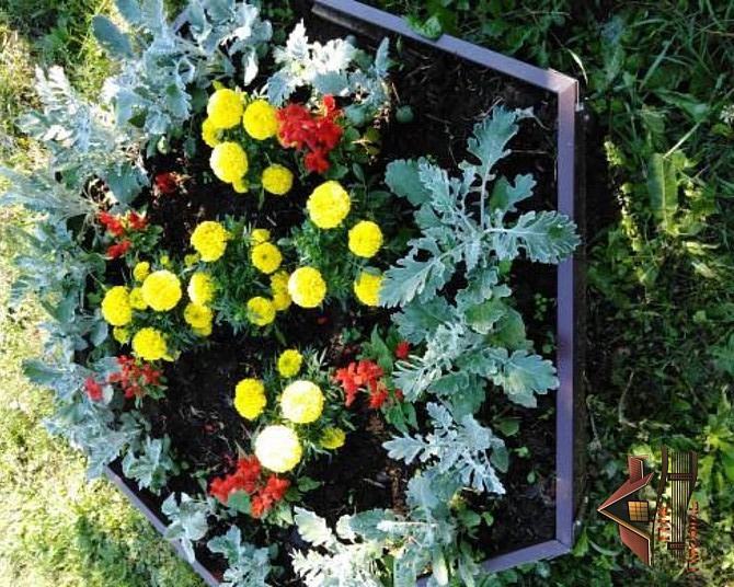 Висока насипна клумба, грядка, збірна грядка Київ - зображення 9