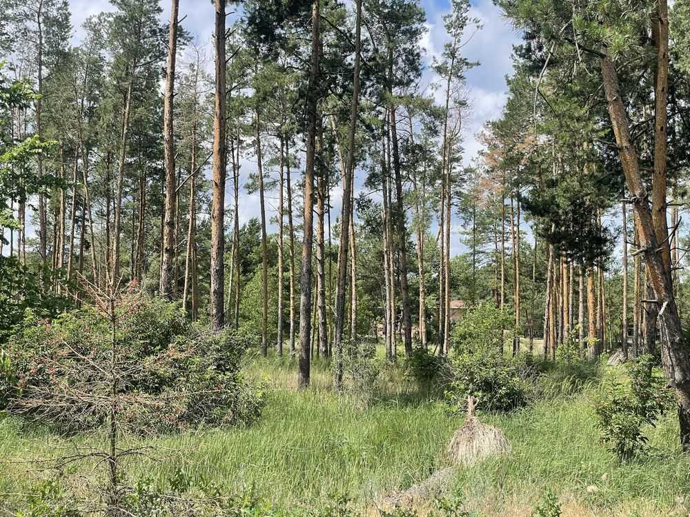 продажа участок под жилую застройку Вышгородский, Лебедевка, 750000 $  - зображення 3