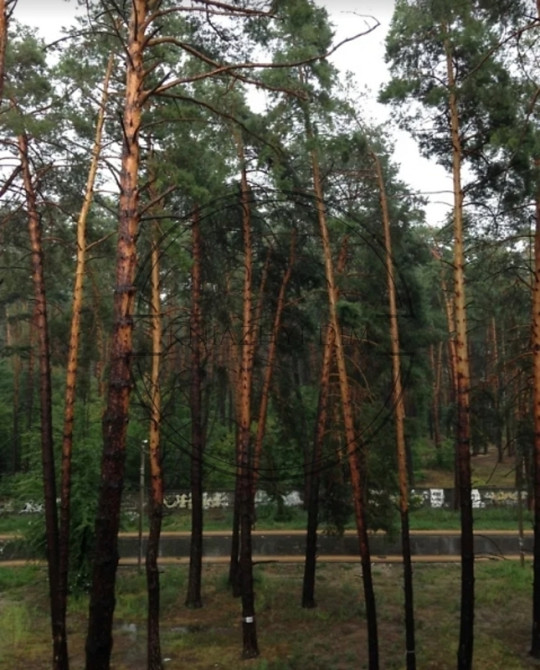 Продаж 2-кімнатної квартири, Ірпінь. № 21146101 Київ - зображення 11