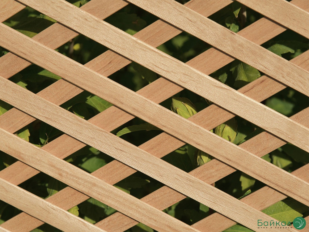 ДЕРЕВЯННЫЕ РЕШЕТКИ декоративные: Дуб, Ясень, Ольха (1,2 х 0,62 м) Київ - зображення 5