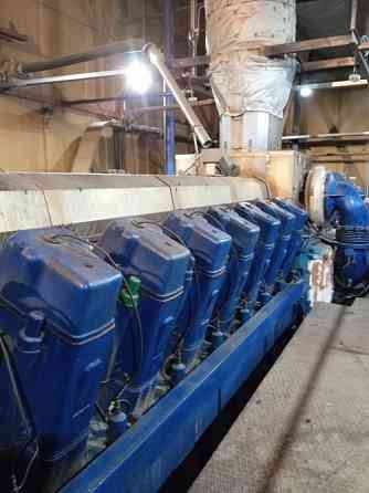 Газовий генератор Bergen 7000 квт. Киев