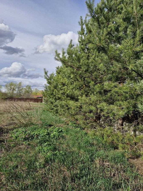 продажа участок под жилую застройку Обуховский, Романков, 120000 $  - изображение 4