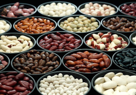 Посівмат квасолі. Насіння квасолі. Житомир - изображение 1