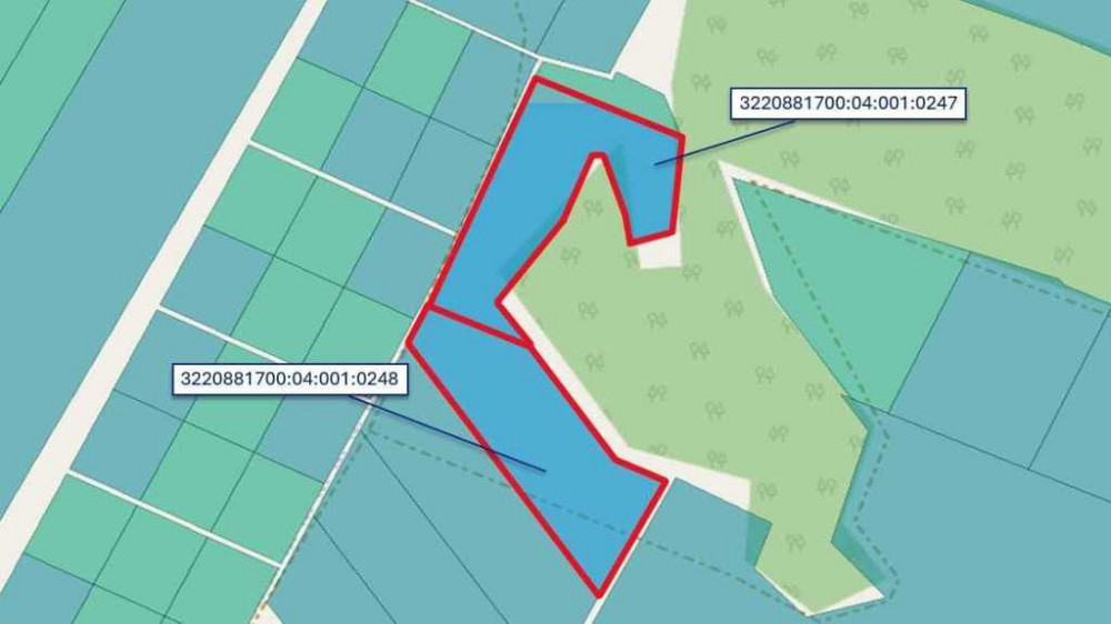 продажа земля сельскохозяйственного назначения Бориспольский, Вороньков, 250000 грн.  - зображення 1