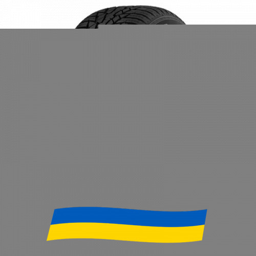 225/45 R17 Nokian WR D4 94V Легкова шина Київ - зображення 1