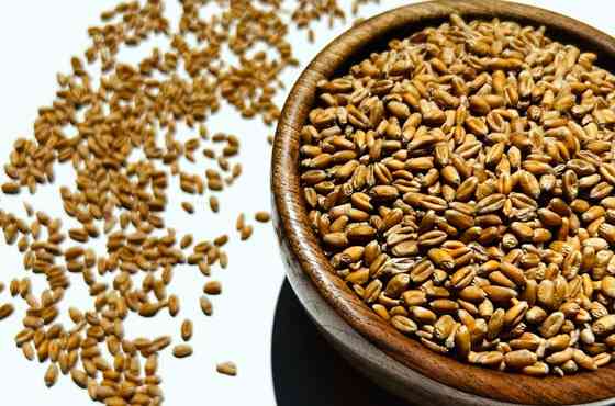 Продаж пшениці необробленої Івано-Франківськ